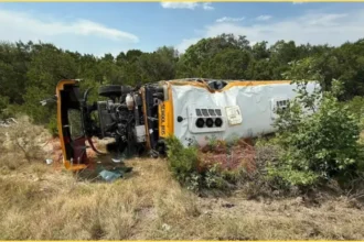 School Bus Crash Horror