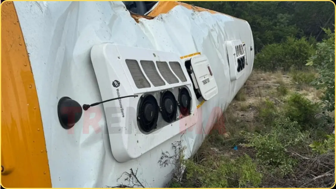 School Bus Crash Horror