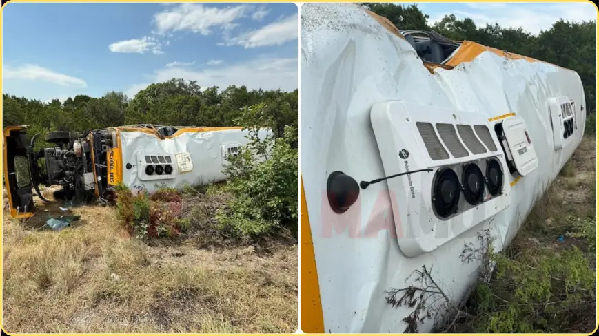 School Bus Crash Horror