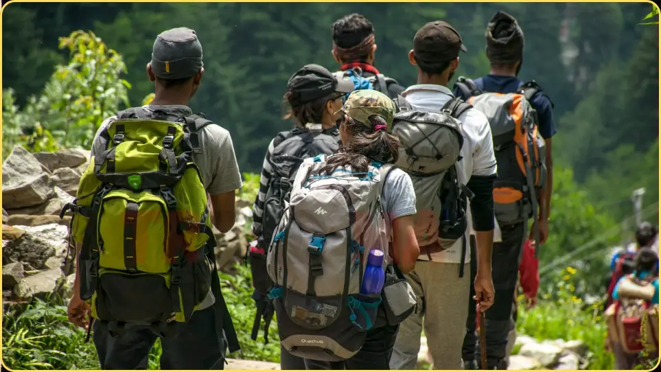 Hikers Tragic Death After Venomous Snake Bite