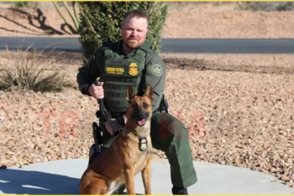 Patrol Agent Killed