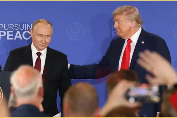 Ukraine War Peace Talks