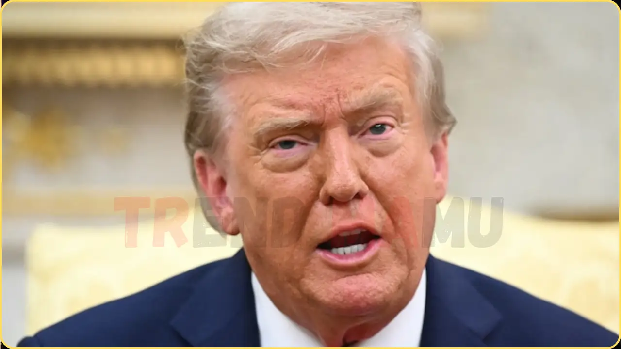 Trump and Zelenskyy Oval Office Meeting