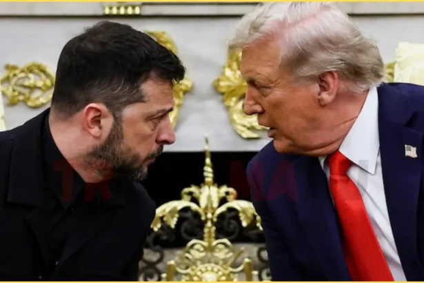 Trump and Zelenskyy Oval Office Meeting