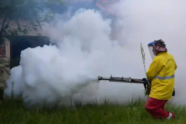 China Alarming Chikungunya Outbreak