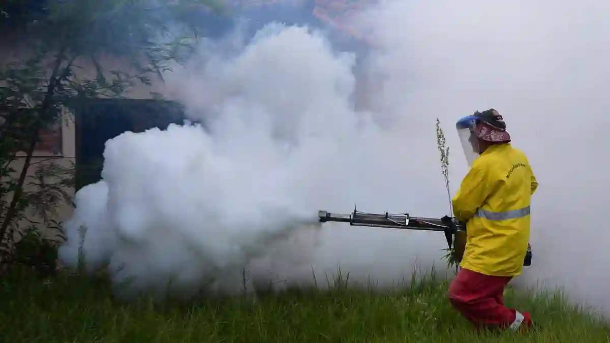 China Alarming Chikungunya Outbreak